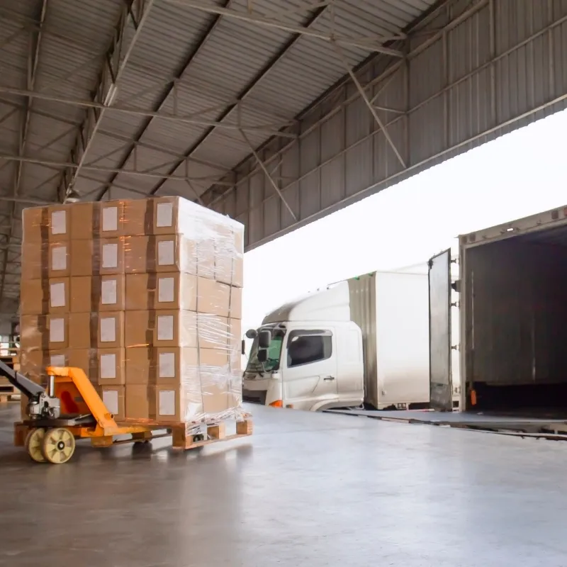 LCL Freight Forwarder