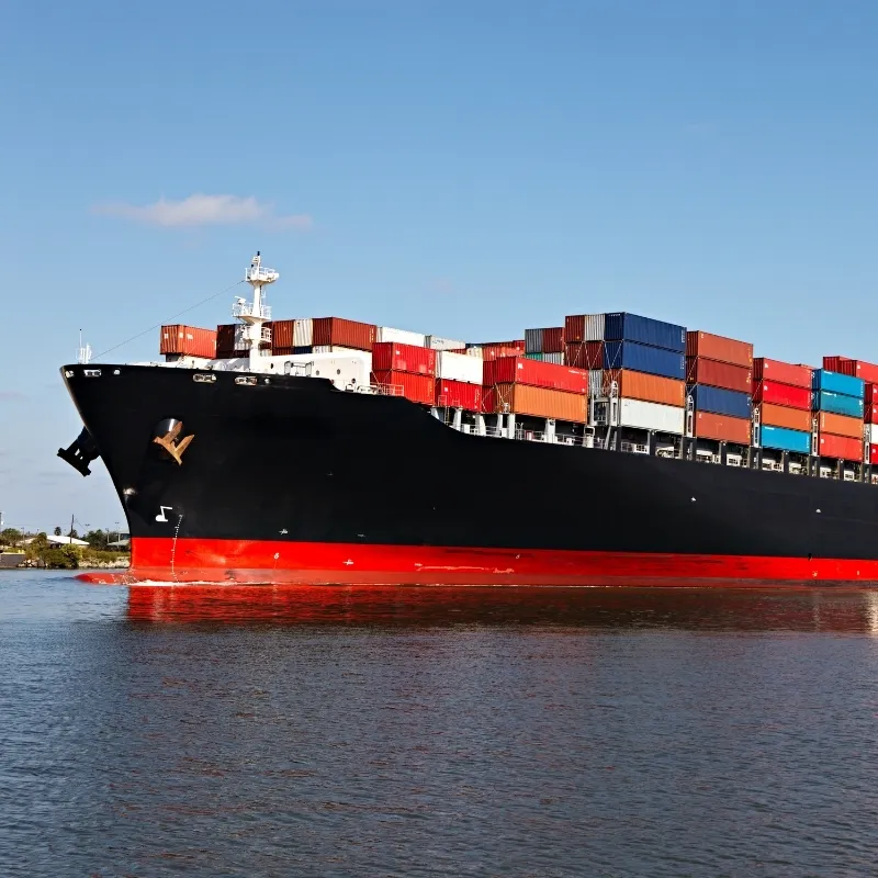 Sea Freight Forwarder
